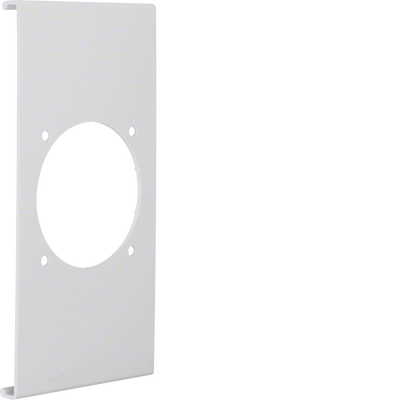 Blende CEE-Steckdose 60er Befestigungsspur PVC zu FB Oberteil 190mm lichtgrau | Hager