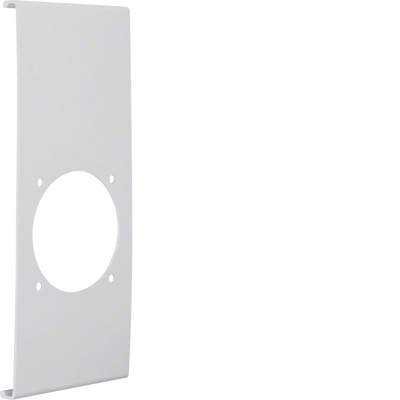 Blende CEE-Steckdose 60er Befestigungsspur PVC zu FB Oberteil 230mm lichtgrau | Hager