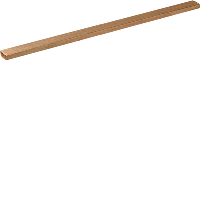 CU-Schiene, 20x5x2050 mm | Hager