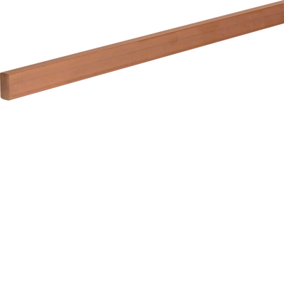 CU-Schiene, universN, 20x10mm, 4feldig, für Sammelschienensystem 60mm | Hager