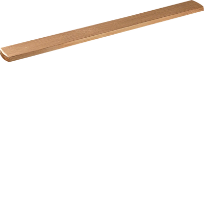 CU-Schiene, universN, 20x5mm, 1feldig, für Sammelschienensystem 60mm | Hager