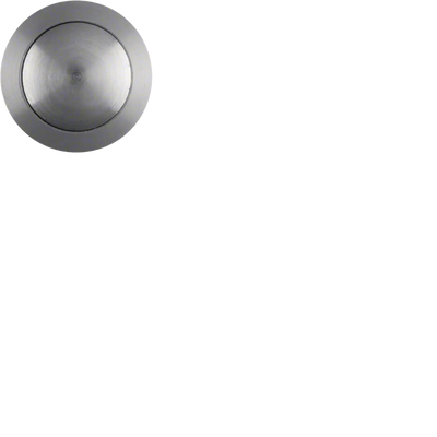 Einschraub-Taste rund, Durchmesser 19mm, Edelstahl | Hager