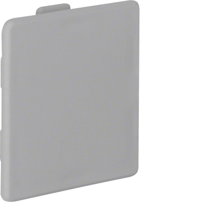 Endstück aus PVC zu Verdrahtungskanal LKG 50x50mm steingrau | Hager