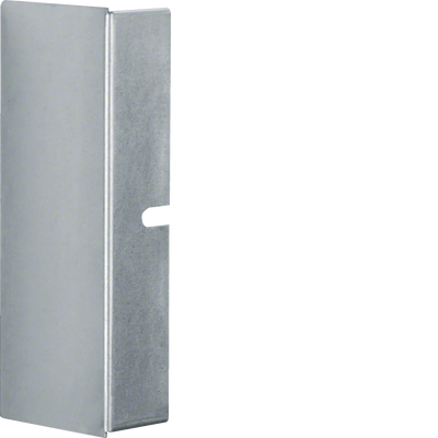 Endstück aus Stahlblech zu Leitungsführungskanal LFS 60x150mm verzinkt | Hager