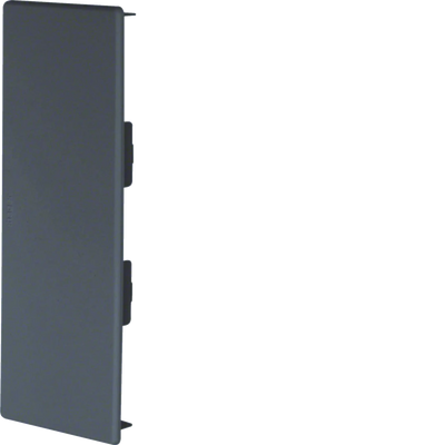Endstück zu Brüstungskanal BR 70x170mm aus PVC in anthrazit | Hager