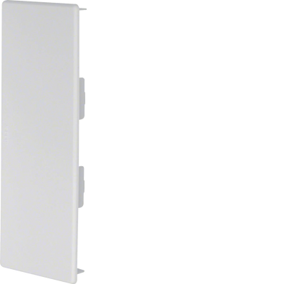 Endstück zu Brüstungskanal BR 70x170mm aus PVC in lichtgrau | Hager
