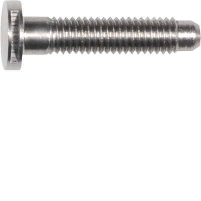 Ersatzteil Schraube Spezial ZY SW6 edelstahl matt M5x25 | Hager