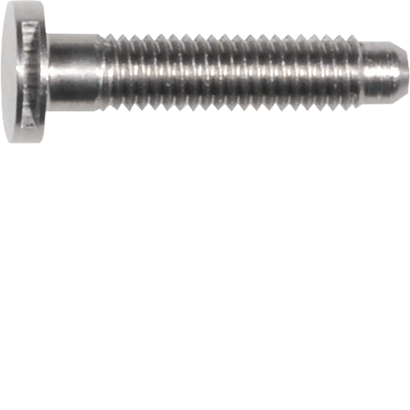 Ersatzteil Schraube Spezial ZY SW6 edelstahl matt M5x25 | Hager