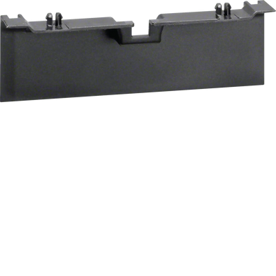 Geräteträgerschürze für Geräteträger zu SL 20x115mm graphitschwarz | Hager