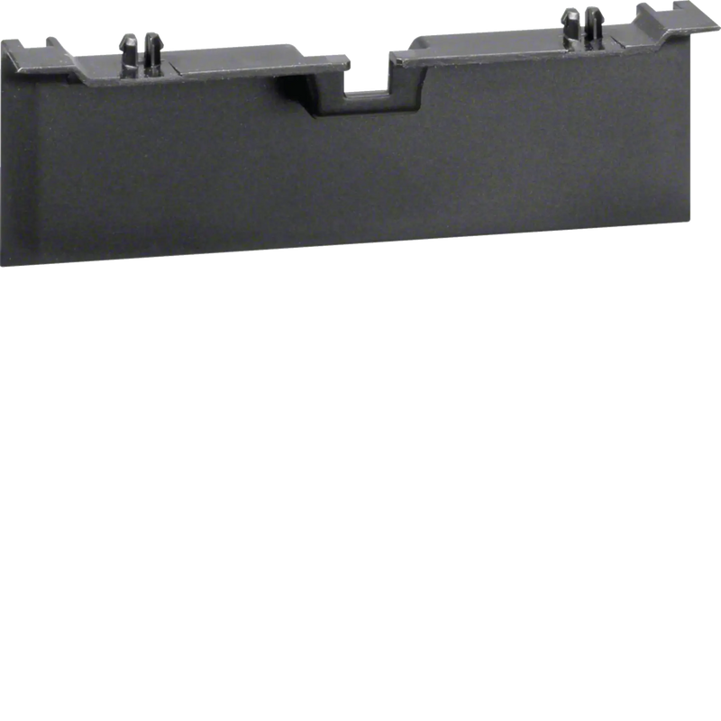 Geräteträgerschürze für Geräteträger zu SL 20x115mm graphitschwarz | Hager