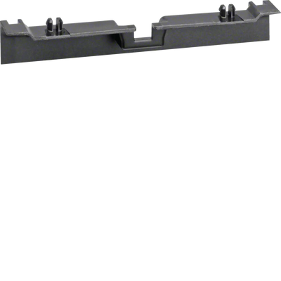 Geräteträgerschürze für Geräteträger zu SL 20x55mm graphitschwarz | Hager