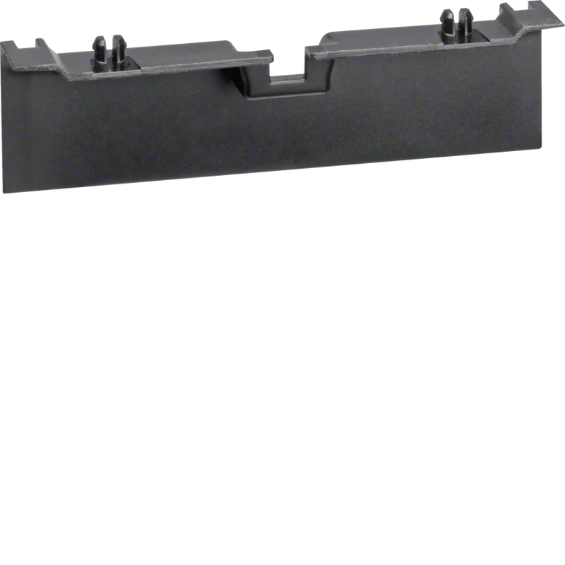 Geräteträgerschürze für Geräteträger zu SL 20x80mm graphitschwarz | Hager