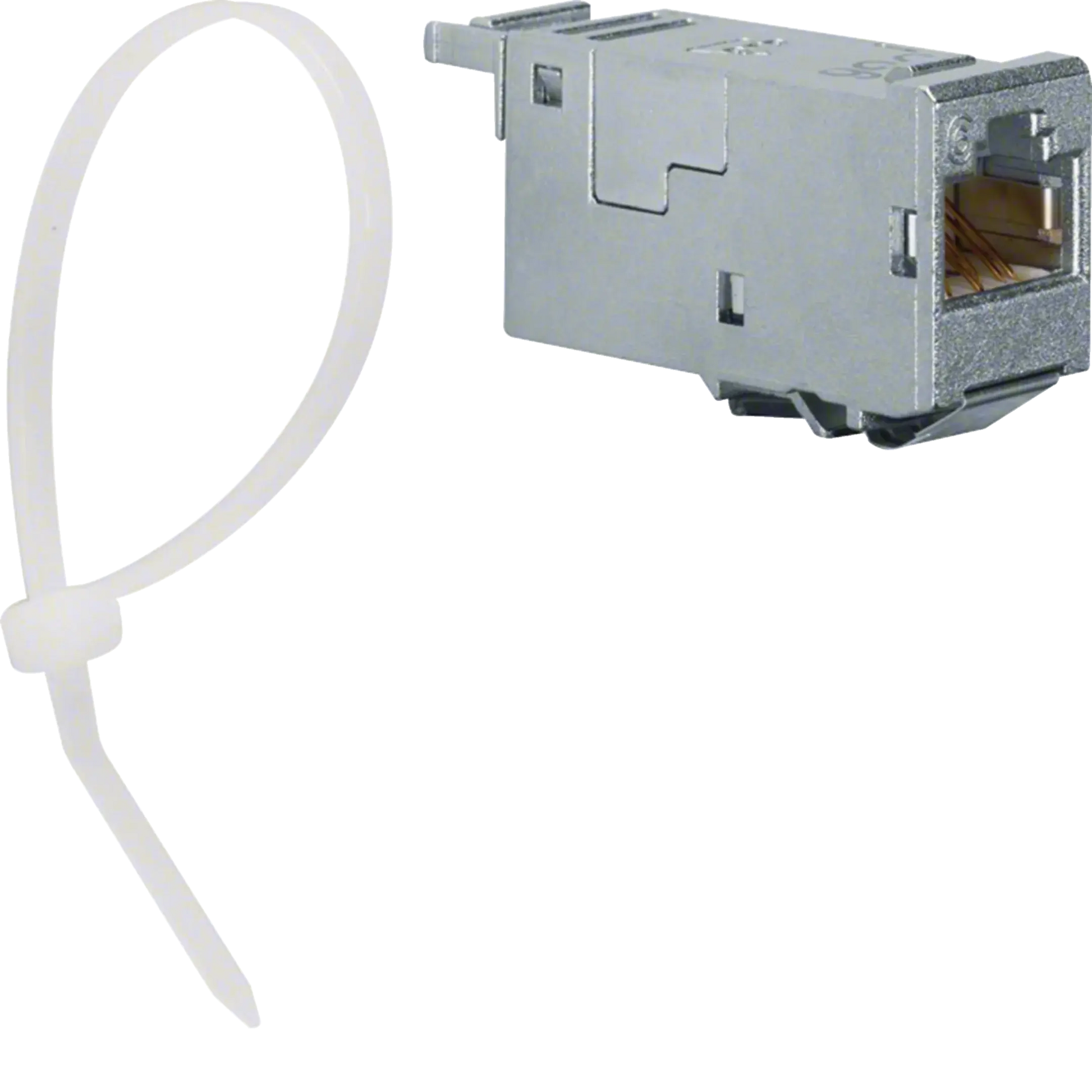RJ45 Modul (E-Dat), universal, C6, ISO A, 10GBit Ethernet (IEEE 802.3an), 180° | Hager