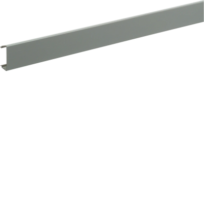 Sammelschienen-Isolierprofil, f.Sammelschiene CU 30x5 und 30x10mm, Länge 1000mm | Hager