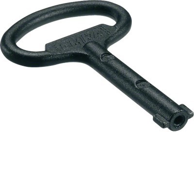 Schlüssel zu Dorn Doppelbart 3mm | Hager