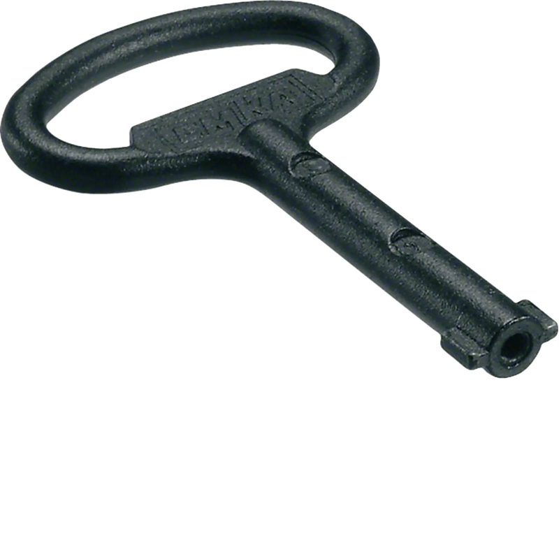 Schlüssel zu Dorn Doppelbart 3mm | Hager