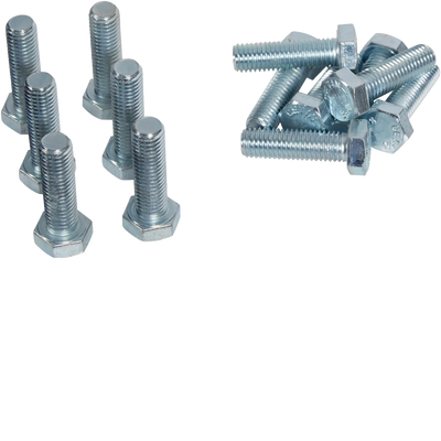 Sechskantschraube M12x40mm ,Zubehör f. Schienen-Stabilisierung "Cu 20x10"(100St) | Hager
