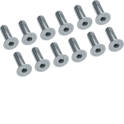 Senkkopfschraube M12x 40mm, (12St) | Hager